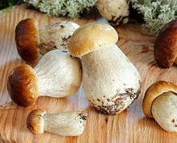 Витамин B3 (Витамин РР, ниацин, никотиновая кислота)