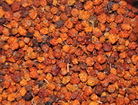 ������ �������