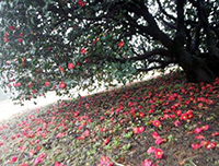 �������� ����� ������ � ���