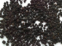 ������ ������������