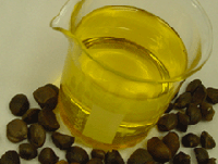 �������� ����� ������ � ���