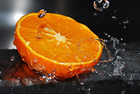 ������������ �������