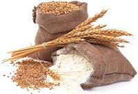 �������� ������� (����)