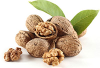 ����� �������� �����