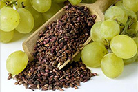 �������� ����������� ��������