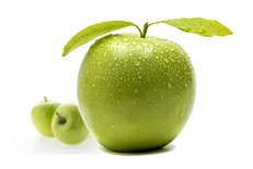 Экстракт мякоти яблока