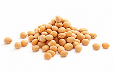 Протеин сои