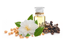 Комплекс масел чубаки и сои